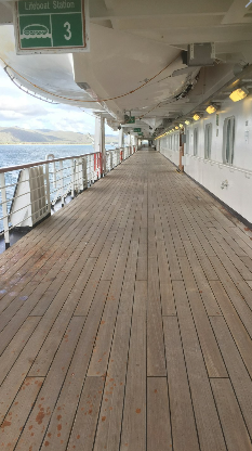 Cruise Industry