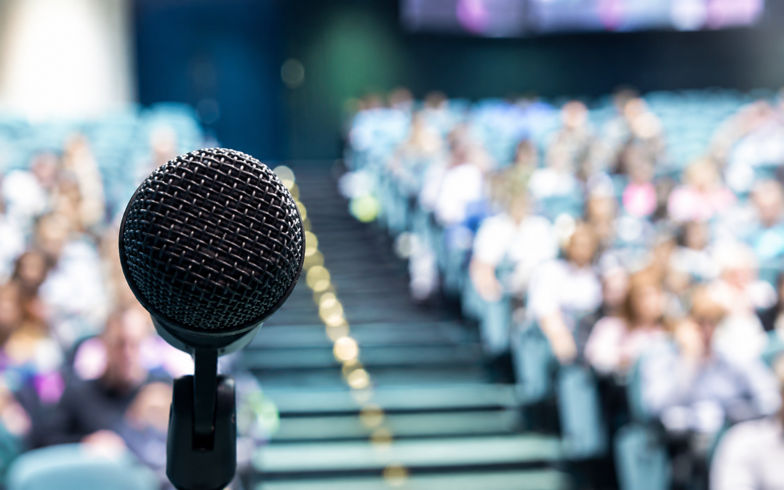 Want to Join a Cruise as a Guest Lecturer? Here's Everything You Need to Know.